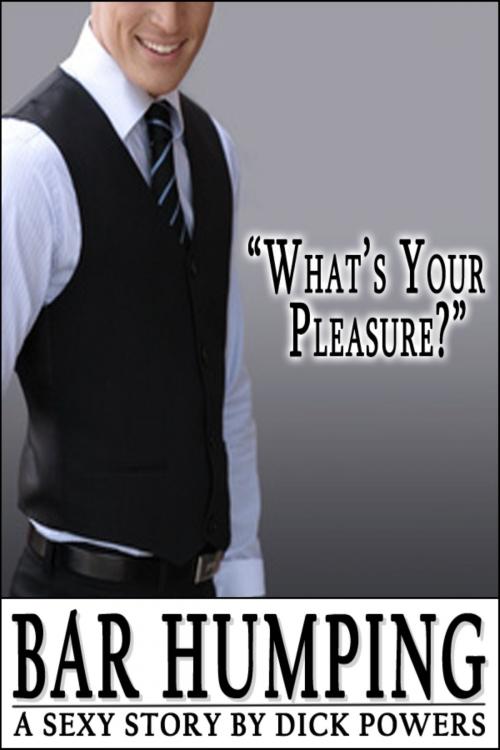 Cover of the book Bar Humping by Dick Powers, Lunatic Ink Publishing