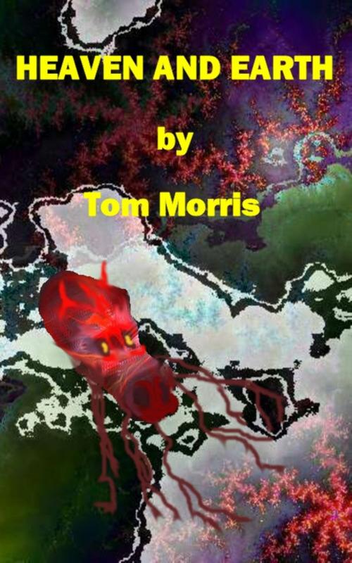 Cover of the book Heaven And Earth by Tom Morris, Tom Morris