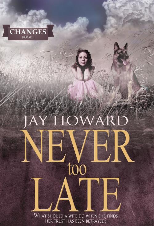 Cover of the book Never Too Late (Changes #1) by Jay Howard, Jay Howard