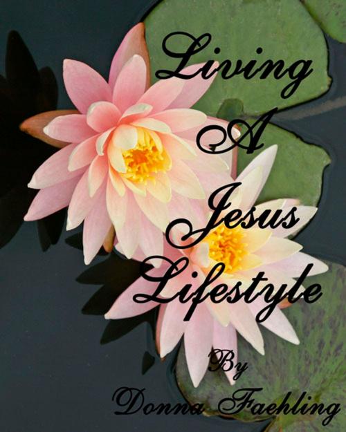 Cover of the book Living A Jesus Lifestyle by Donna Faehling, Donna Faehling