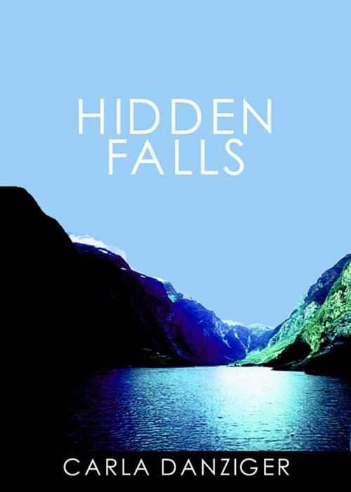 Cover of the book Hidden Falls by Carla Danziger, Carla Danziger
