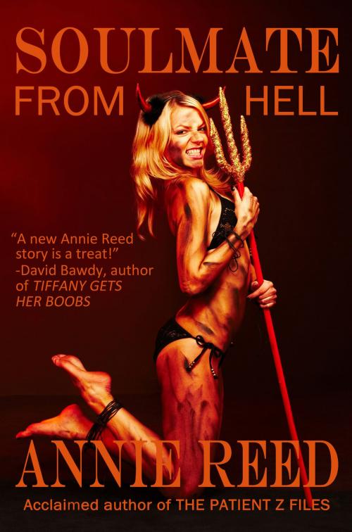 Cover of the book Soulmate From Hell by Annie Reed, Thunder Valley Press