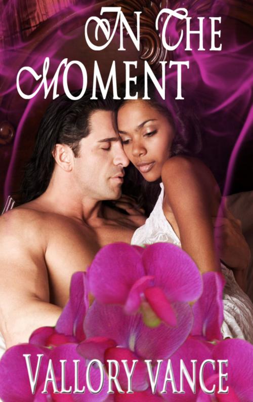 Cover of the book In The Moment by Vallory Vance, Vallory Vance