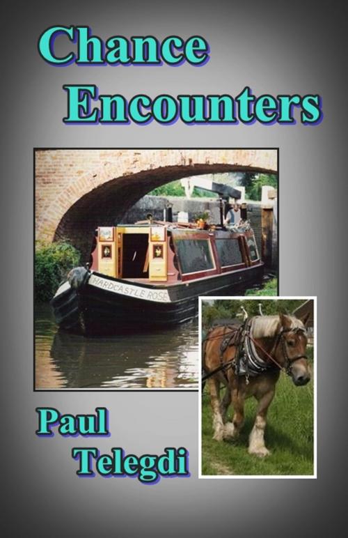 Cover of the book Chance Encounters by Paul Telegdi, Paul Telegdi