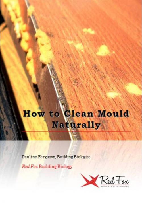 Cover of the book How To Clean Mould Naturally by Pauline Ferguson, Pauline Ferguson