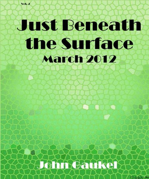 Cover of the book Just Beneath the Surface Volume 2 by John Gaukel, John Gaukel