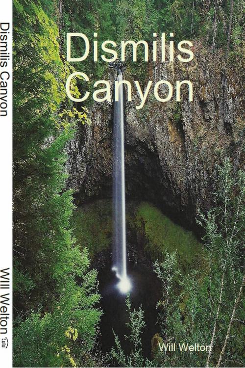 Cover of the book Dismilis Canyon by Will Welton, Will Welton