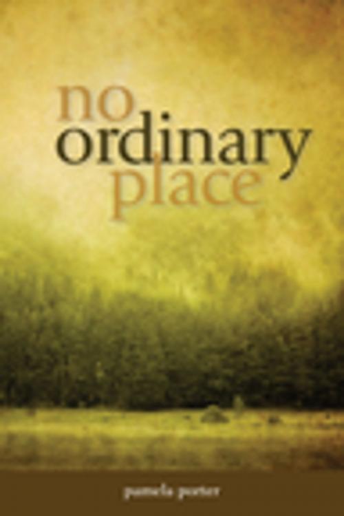 Cover of the book No Ordinary Place by Pamela Porter, Ronsdale Press