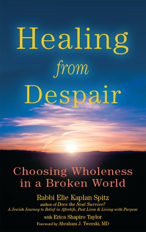 Cover of the book Healing from Despair by Rabbi Elie Kaplan Spitz, Turner Publishing Company
