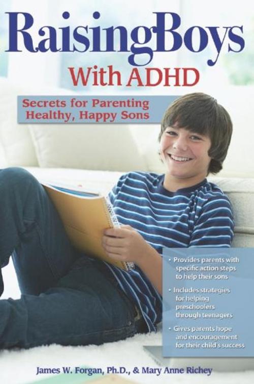 Cover of the book Raising Boys With ADHD by Prufrock Press, Sourcebooks