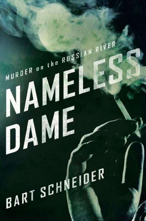 Cover of the book Nameless Dame by Bart Schneider, Soft Skull Press