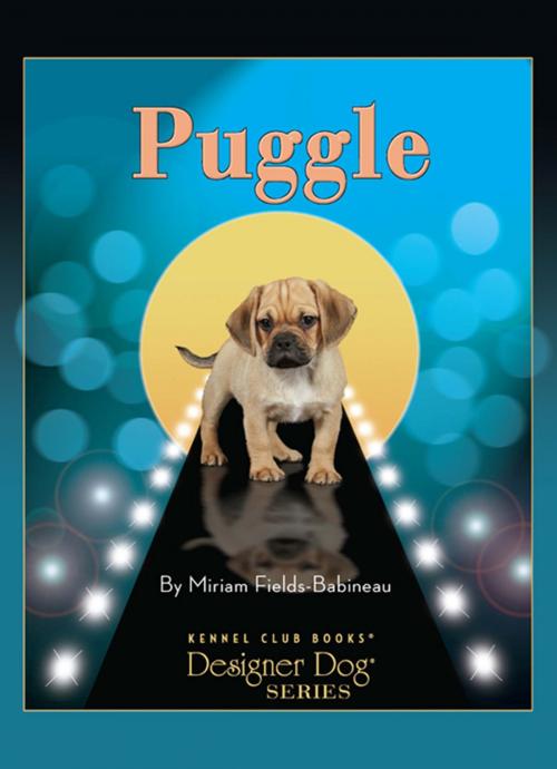 Cover of the book Puggle by Miriam Fields-Babineau, CompanionHouse Books