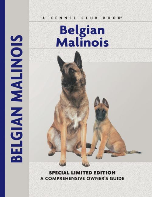 Cover of the book Belgian Malinois by Robert Pollet, Dr., CompanionHouse Books