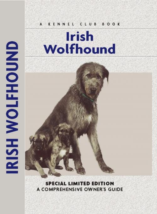 Cover of the book Irish Wolfhound by Alice Kane, CompanionHouse Books