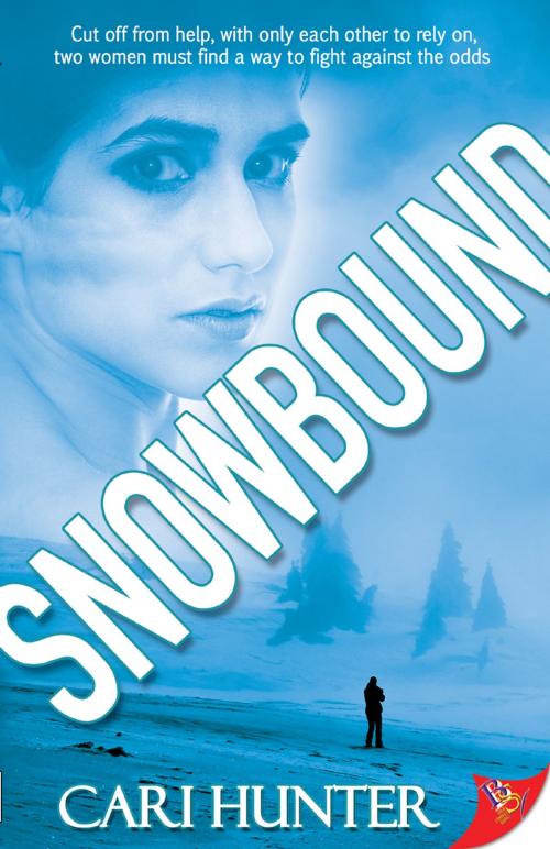 Cover of the book Snowbound by Cari Hunter, Bold Strokes Books, Inc.