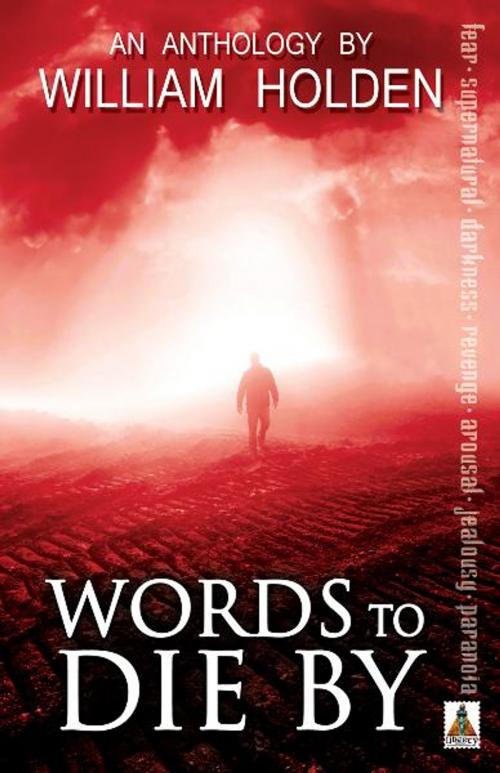 Cover of the book Words to Die By by William Holden, Bold Strokes Books, Inc.