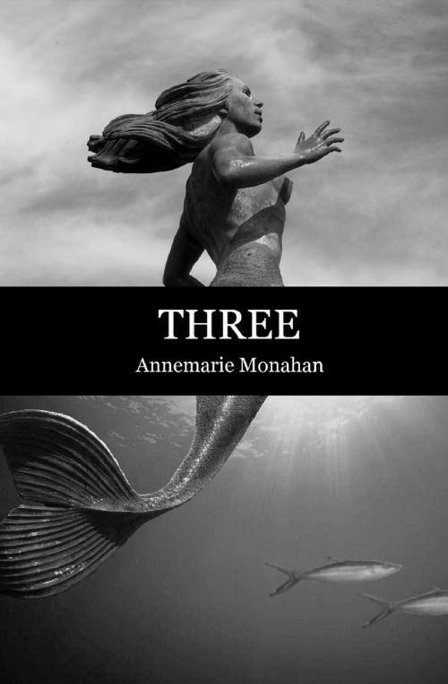 Cover of the book Three by Annemarie Monahan, PM Press