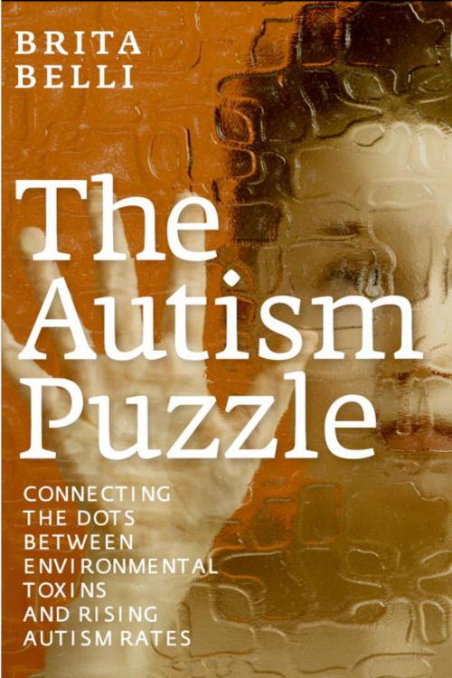Cover of the book The Autism Puzzle by Brita Belli, Seven Stories Press