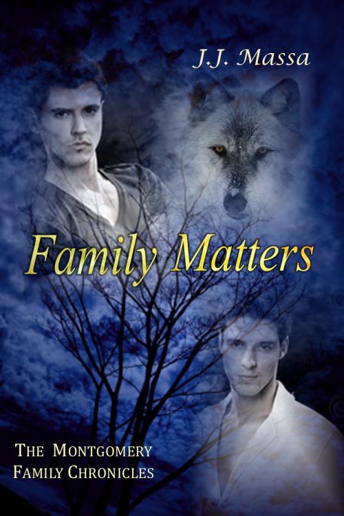 Cover of the book Family Matters by J.J. Massa, Melange Books, LLC