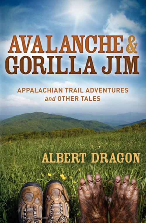 Cover of the book Avalanche & Gorilla Jim by Albert Dragon, Morgan James Publishing