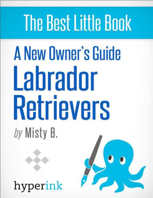 Cover of the book A New Owner's Guide to Labrador Retreivers by Misty  B., Hyperink