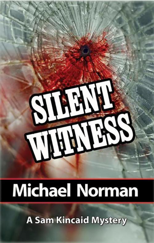 Cover of the book Silent Witness by Michael Norman, Sourcebooks