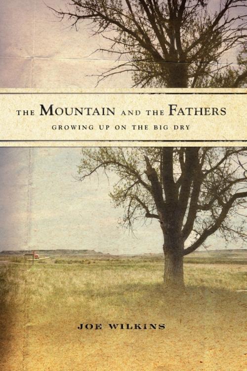 Cover of the book The Mountain and the Fathers by Joe Wilkins, Counterpoint