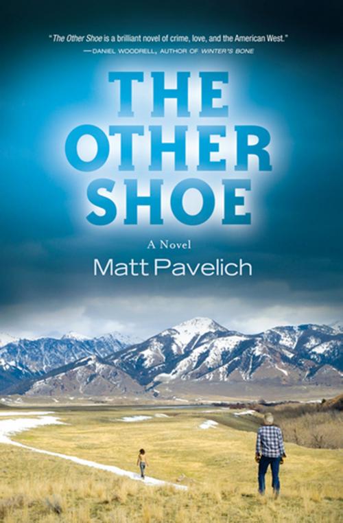 Cover of the book The Other Shoe by Matt Pavelich, Counterpoint Press