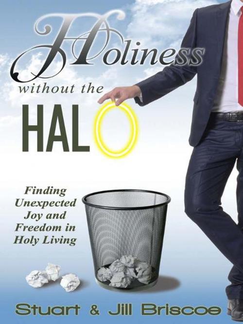 Cover of the book Holiness Without the Halo by Stuart Briscoe, Jill Briscoe, CLC Publications