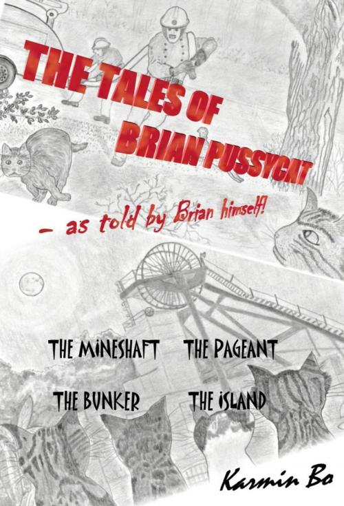 Cover of the book The Tales of Brian Pussycat by Karmin Bo, BookBaby