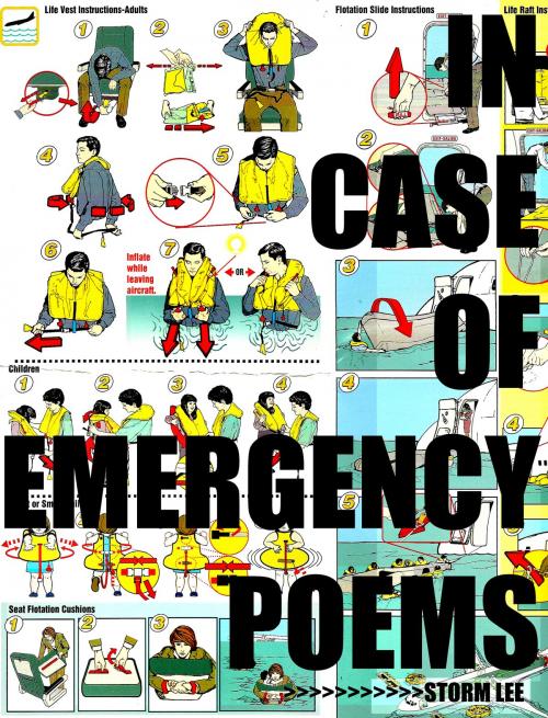 Cover of the book In Case Of Emergency by Storm Lee, BookBaby