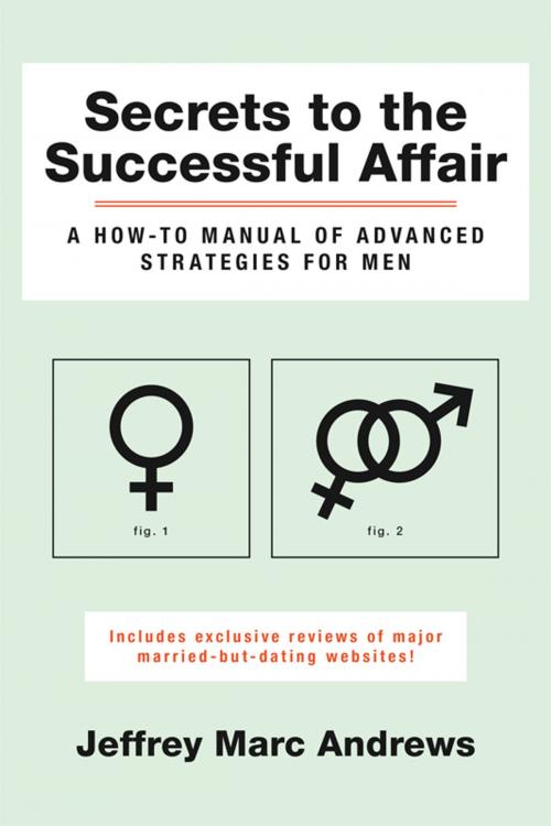 Cover of the book Secrets to the Successful Affair by Jeffrey Marc Andrews, BookBaby