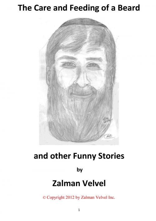 Cover of the book The Care and Feeding of a Beard and Other Funny Stories by Zalman Velvel, BookBaby
