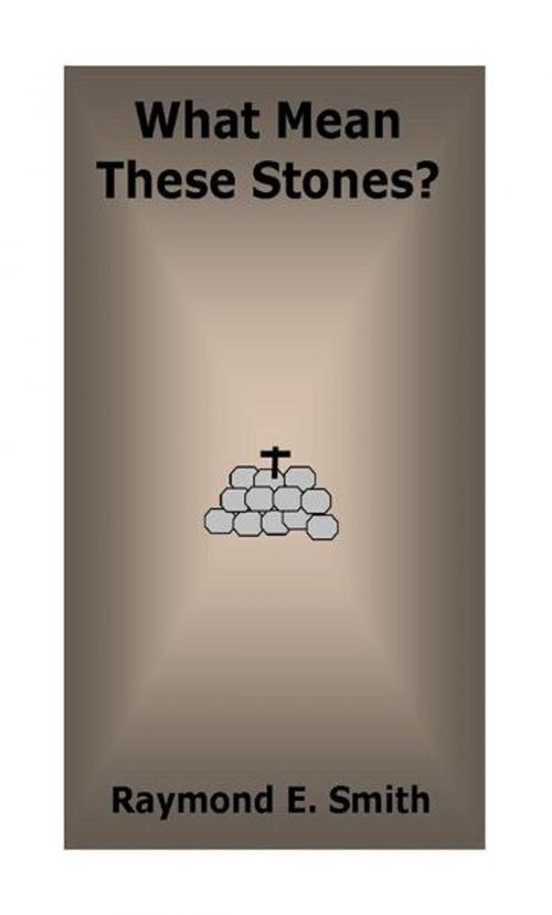 Cover of the book What Mean These Stones? by Raymond E. Smith, BookBaby
