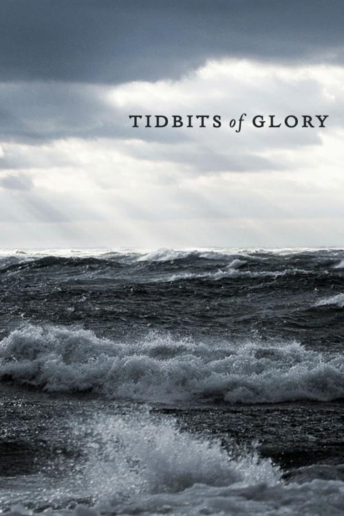 Cover of the book Tidbits of Glory by Mike Belvedere, BookBaby