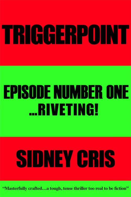 Cover of the book Triggerpoint by Sidney Cris, BookBaby
