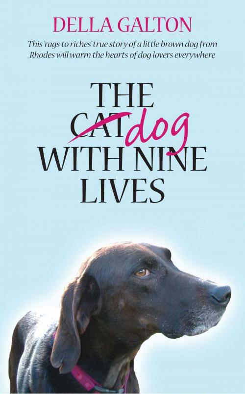 Cover of the book The Dog With Nine Lives by Della Galton, Accent Press