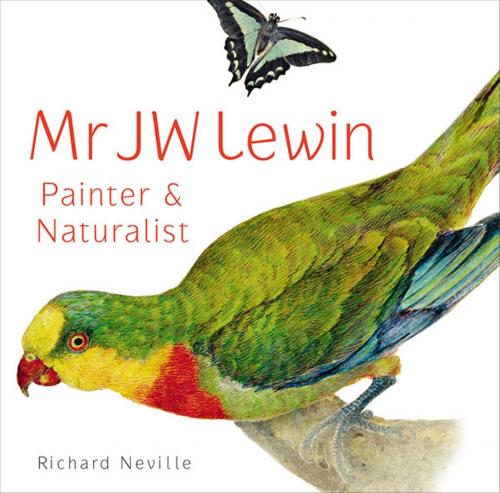 Cover of the book MR JW Lewin, Painter & Naturalist by Richard Neville, University of New South Wales Press