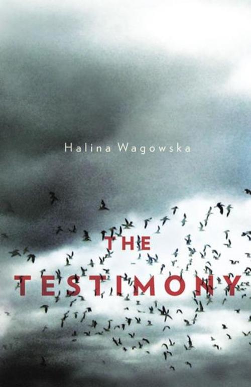 Cover of the book The Testimony    by Halina Wagowska, Hardie Grant Books