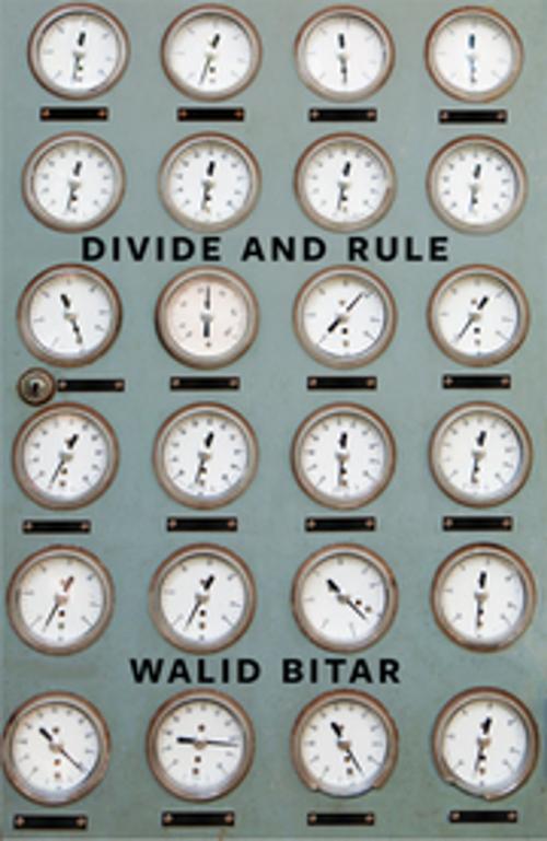 Cover of the book Divide and Rule by Walid Bitar, Coach House Books