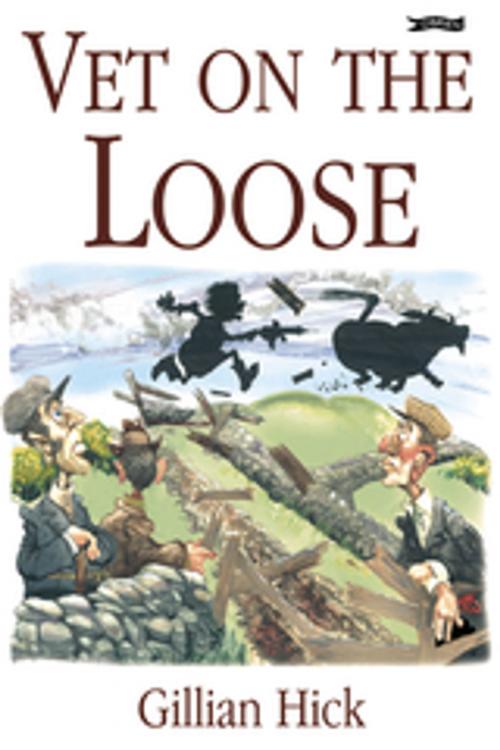 Cover of the book Vet on the Loose by Gillian Hick, The O'Brien Press