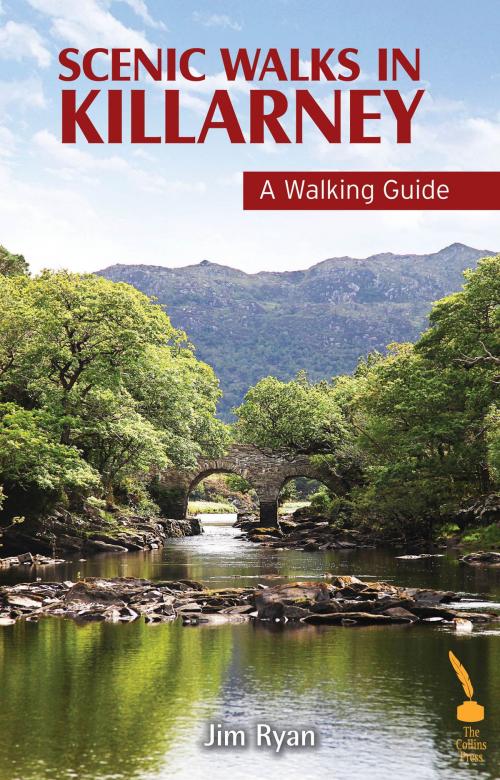 Cover of the book Scenic Walks in Killarney – A Walking Guide by Jim Ryan, The Collins Press