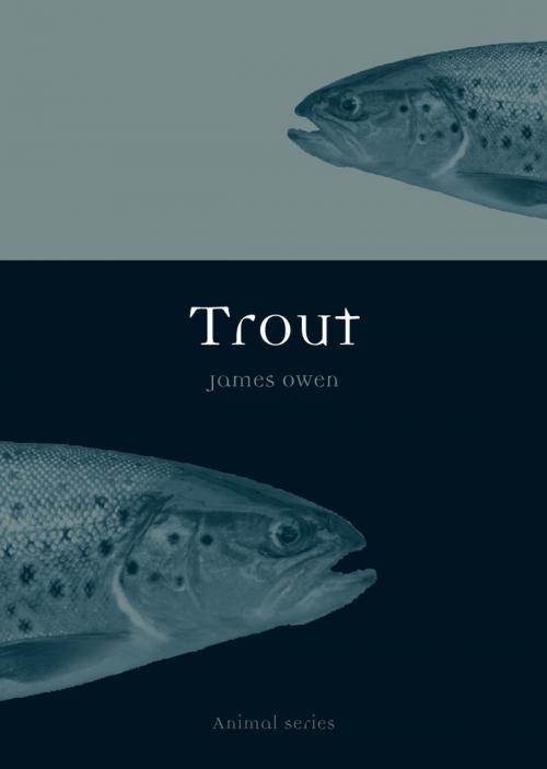 Cover of the book Trout by James Owen, Reaktion Books