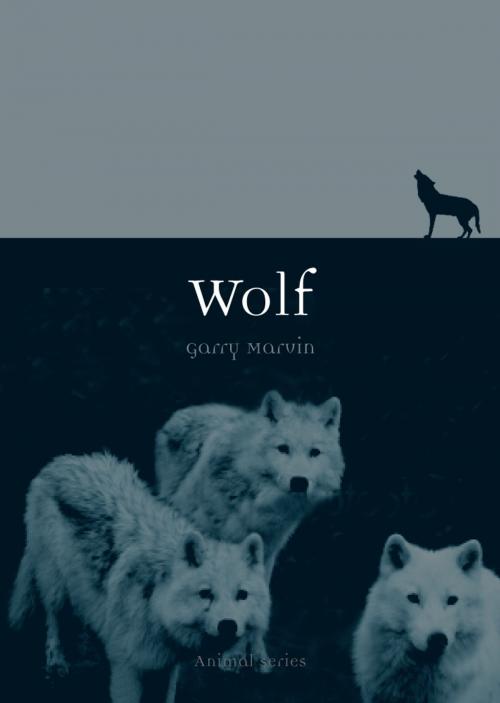 Cover of the book Wolf by Garry Marvin, Reaktion Books