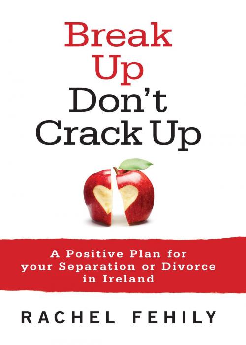 Cover of the book Break up, Don't Crack up by Rachel Fehily, Orpen Press