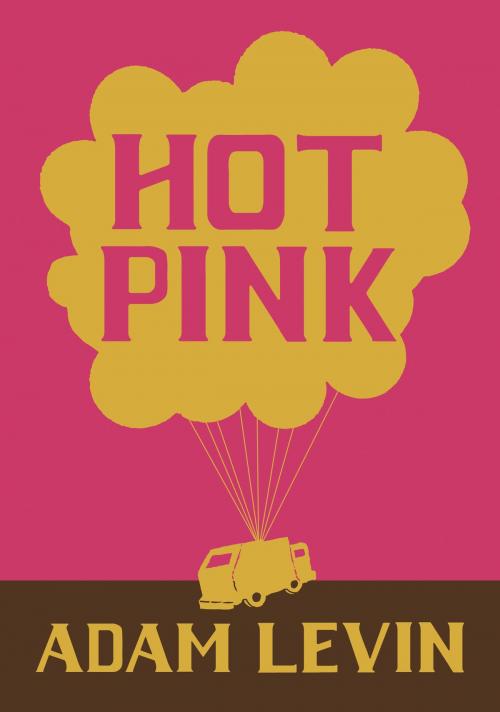 Cover of the book Hot Pink by Adam Levin, McSweeney's