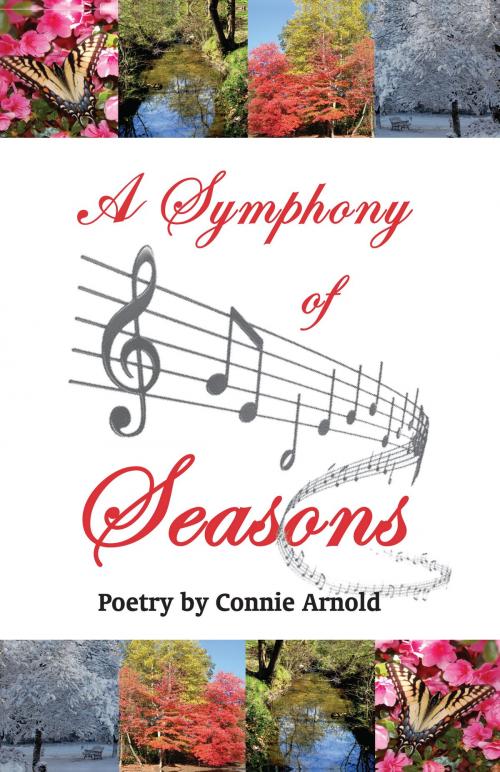 Cover of the book A Symphony of Seasons by Connie Arnold, RPJ & Company, Inc.