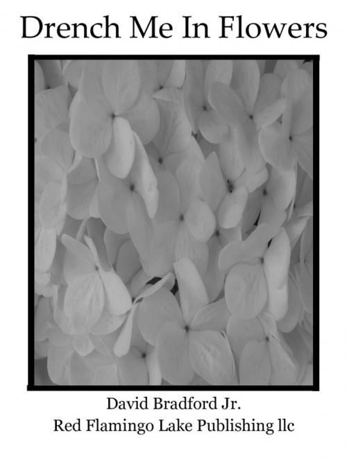 Cover of the book Drench Me In Flowers by David Bradford Jr., Red Flamingo Lake Publishing llc