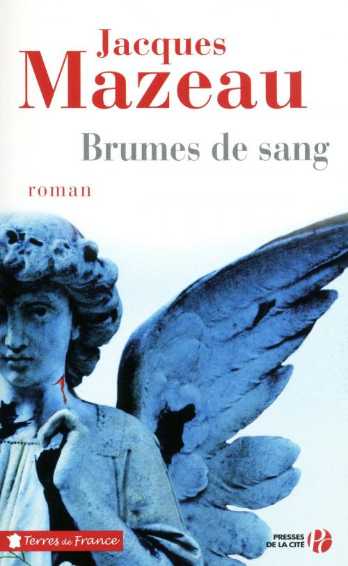 Cover of the book Brumes de sang by Jacques MAZEAU, Place des éditeurs