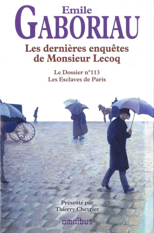 Cover of the book Les dernières enquêtes de Mr Lecoq by Émile GABORIAU, Place des éditeurs